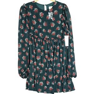 Aura Party Dress S Green Red Floral Long Sleeve Lined Ruffle Whimsy Fairy NWT